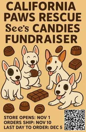 Sweet Treats for a Sweet Cause!!!