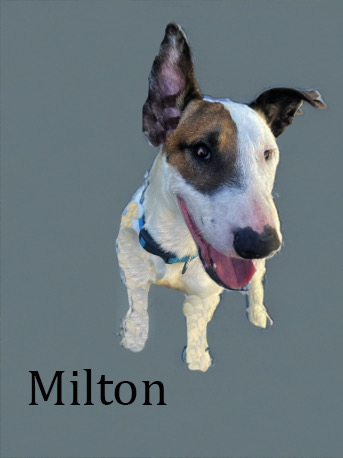 Meet Milton