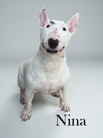 Nina