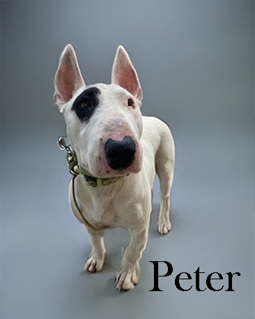 Peter