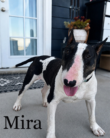 Mira